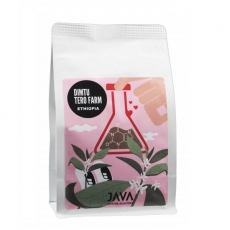 Kavos pupelės Ethiopia Dimtu Tero, 250g