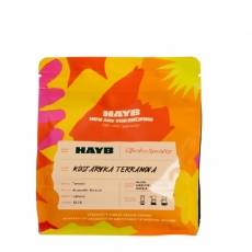 Kavos pupelės HAYB Costa Rica, 250g