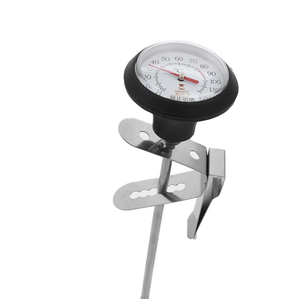 Temometras pienui Timemore, 10cm